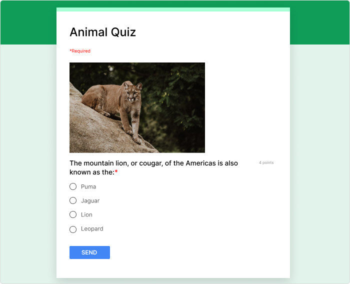 Google Forms est souvent utilisé pour des questionnaires en ligne